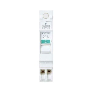 Panasonic�i�p�i�\�j�b�N�j 2P2E110/220V20A BSH2202