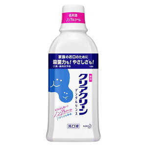ԉ NAN[f^X 600ml