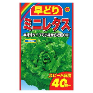 yGg[Ń|Cg10{zA^_ ǂV[Y ~j^Xy2025/12/4 20:00 - 2025/12/11 01:59z