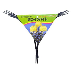 yGg[Ń|Cg10{znӃ^C CoCh 5{g y2025/12/4 20:00 - 2025/12/11 01:59z