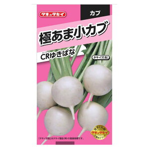 yyVX[p[SALEz^LCc Ju ɂ܏Ju@CR䂫΂ȁy2025/12/4 20:00 - 2025/12/11 01:59z