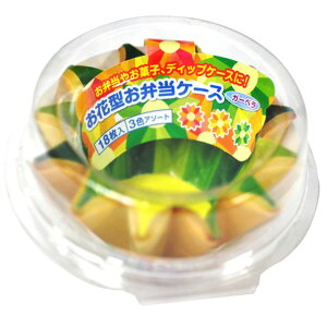 yyVX[p[SALEzOHA~jE Ԍ^ٓP[X K[xy2025/12/4 20:00 - 2025/12/11 01:59z