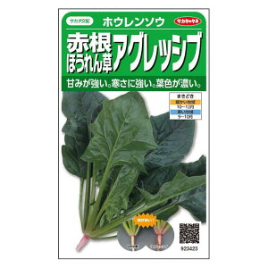 TJ^̃^l zE\E ԍق AObVu