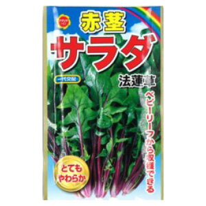 yyVX[p[SALEzA^_ zE\E ԌsT_ @@y2025/12/4 20:00 - 2025/12/11 01:59z