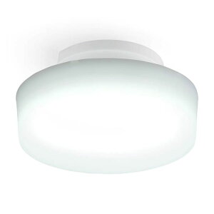 �A�C���X�I�[���} LED���^�V�[�����O���C�g 1200lm �����F SCL12D-MCHL