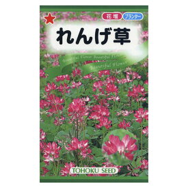 レンゲソウ れんげ草