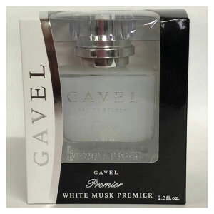 GAVEL���L�b�h DF100�z���C�g���X�N�v���~�A