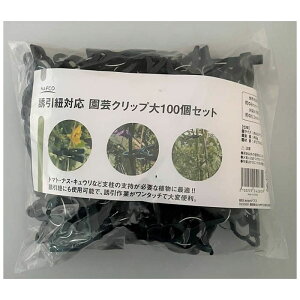 yGg[Ń|Cg10{zURΉ |Nbv 100P NCL-L-100y2025/12/4 20:00 - 2025/12/11 01:59z