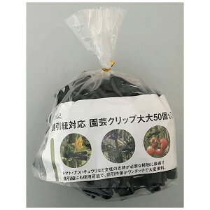 yGg[Ń|Cg10{zURΉ |Nbv 50P NCL-LL-50y2025/12/4 20:00 - 2025/12/11 01:59z