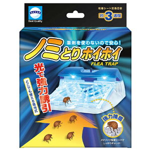 A[XEybg dqm~ƂzCzC1 1+V[g+P3dr2{