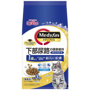 ybgC fBt@X 1΂ tBbV 3kg