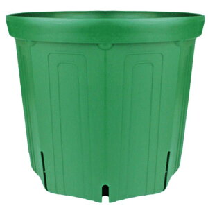 ����Y�� �X���b�g�� CSM?180