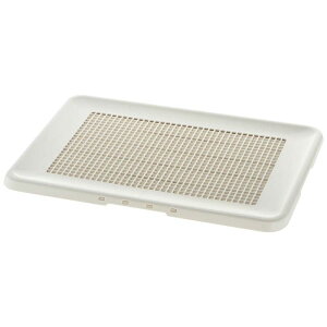 yGg[Ń|Cg10{zb`F |ȒPtbgg[ M[ AC{[y2025/12/4 20:00 - 2025/12/11 01:59z