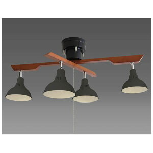 タキズミ LEDインテリア照明 DN4021RSBK