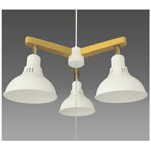 ^LY~ LEDCeAƖ DN3067CHWH