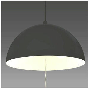 ^LY~ LEDCeAƖ DN2021PBK