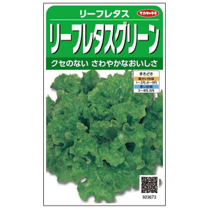 yGg[Ń|Cg10{zTJ^̃^l [t^X [t^XO[y2025/12/4 20:00 - 2025/12/11 01:59z