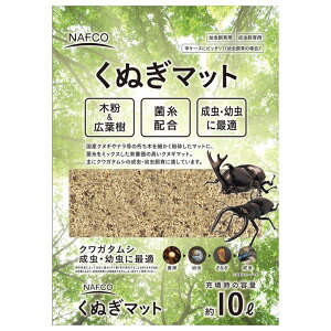 yGg[Ń|Cg10{zitR ʂ}bg 10Ly2025/12/4 20:00 - 2025/12/11 01:59z