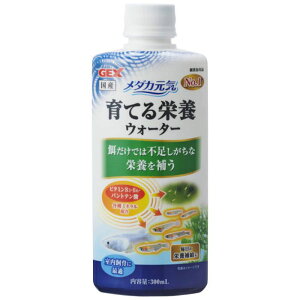 GEX _JCĂh{EH[^[ 300ml