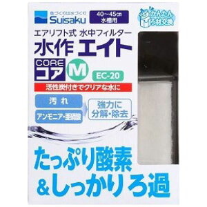  GCgRAM M