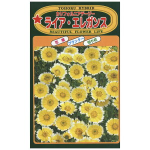 yGg[Ń|Cg10{zg[zN f[W[ CAEGKXy2025/12/4 20:00 - 2025/12/11 01:59z