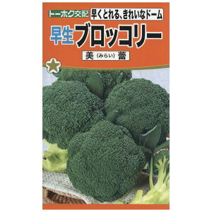 yGg[Ń|Cg10{zg[zN ubR[ ubR[Qy2025/12/4 20:00 - 2025/12/11 01:59z