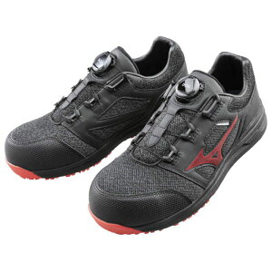 ~YmI[}CeBLSII52LBOA F1GA220209245