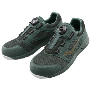 ~YmI[}CeBLSII52LBOA F1GA220233245