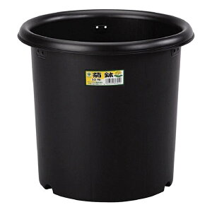 yGg[Ń|Cg10{zGREEN PALe10y2025/12/4 20:00 - 2025/12/11 01:59z