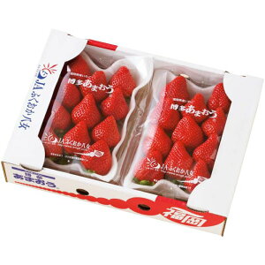 yR15-12zyΕzJAӂ ܂-؁F2025N128