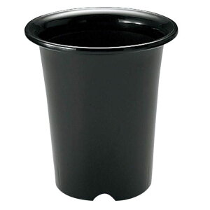 yyVX[p[SALEzb`F m 6y2025/12/4 20:00 - 2025/12/11 01:59z