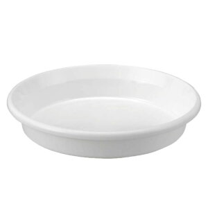 yyVX[p[SALEzAbv MF^@zCg 5y2025/12/4 20:00 - 2025/12/11 01:59z