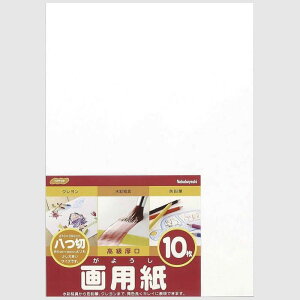 iJoV iJoV p c 10 SD|J|101