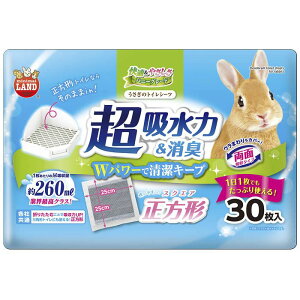 �}���J�� �������̃g�C���V�[�c �X�N�G�A 30��