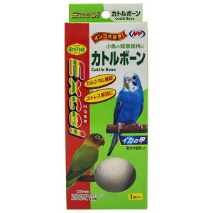 yGg[Ń|Cg10{zi`ybg GNZJg{[ 1{y2025/12/4 20:00 - 2025/12/11 01:59z