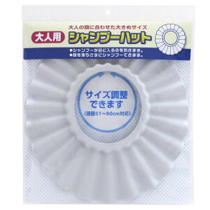 CY lpVv[nbgiO[j BZ|031