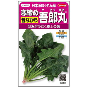 TJ^̃^l zE\E ߌYۂق