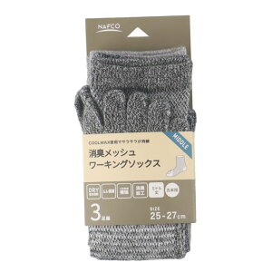 itR 3PRbVܖ{ N[}bNX 25