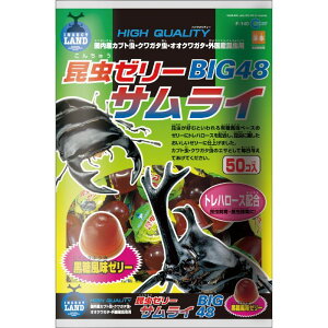 [[rbN48 50