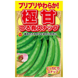 A^_ GhE ɊÂLXibvǂ