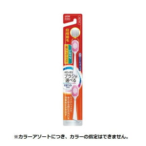 LION dAVXgtփVXe}ɏv~A ӂ2{