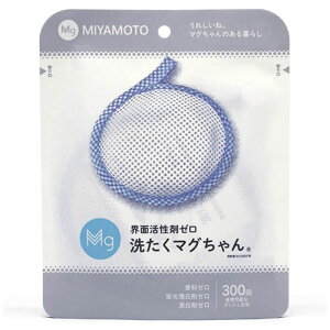 �{�{���쏊 ����}�O����� �u���[