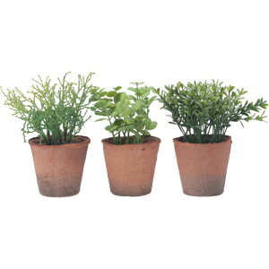 yGg[Ń|Cg10{zA\[gO[ uE|bgSy2025/12/4 20:00 - 2025/12/11 01:59z