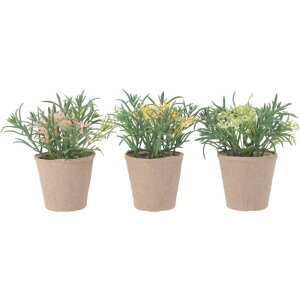 yGg[Ń|Cg10{zA\[gt[ y[p[|bgSy2025/12/4 20:00 - 2025/12/11 01:59z