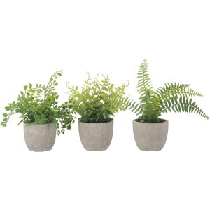 yGg[Ń|Cg10{zA\[gO[ Zg|bgy2025/12/4 20:00 - 2025/12/11 01:59z