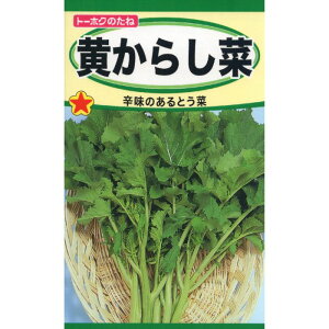 ETCC 炵
