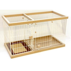 itR&yeBI gĈł i`hbO[T[N