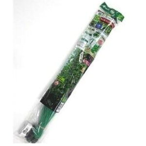 ΂̃J[e݂艺 1.8×5M