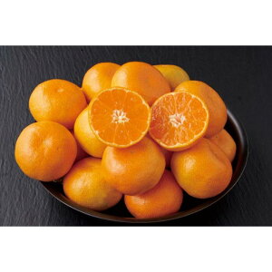 yAM-3Gzyzpa̎RY Lc݂ij-؁F2025N1211