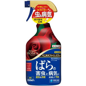 yyVX[p[SALEzxjJXt@CXv[(}C[Y)@950MLy2025/12/4 20:00 - 2025/12/11 01:59z